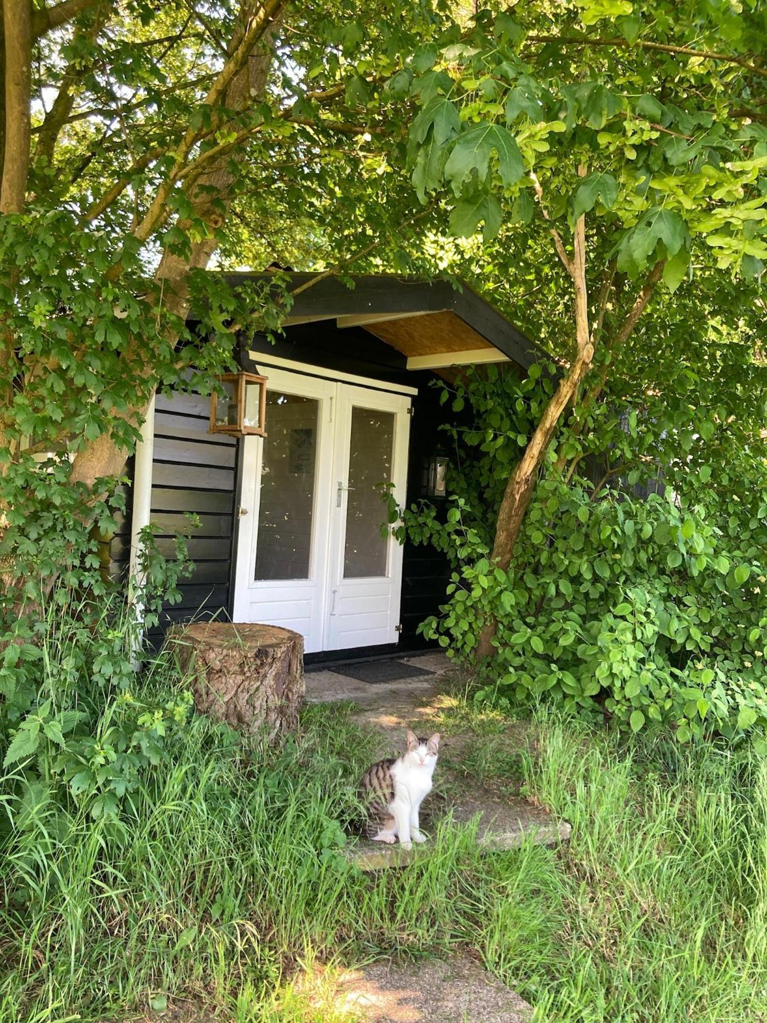 Hoeve De Snippert Groenlo Luaran gambar